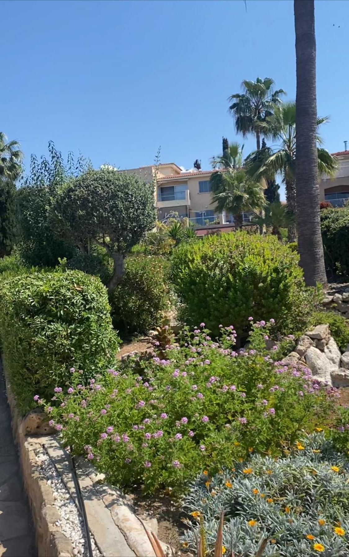 Newly Renovated- Regina Gardens 1, Venus Beach 500 M, Sea&Sunsets View, License Ooo7141 Paphos Luaran gambar