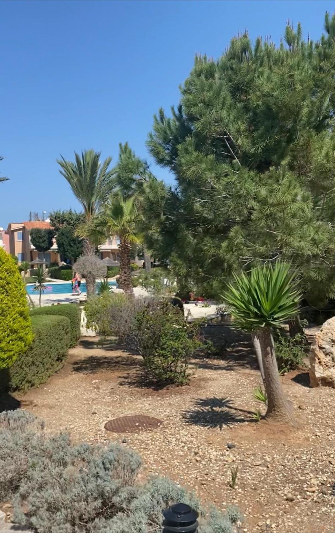 Newly Renovated- Regina Gardens 1, Venus Beach 500 M, Sea&Sunsets View, License Ooo7141 Paphos Luaran gambar